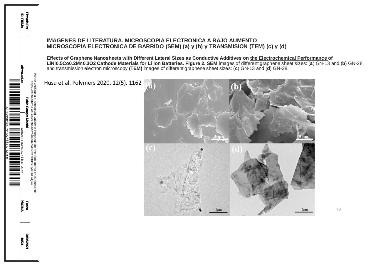 Vista previa del archivo PDF microscopiadevialcorminatydrcamprafirmae1horizontal1.pdf