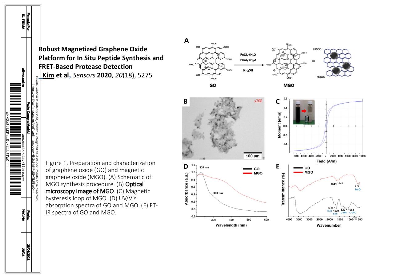 Vista previa del archivo PDF microscopiadevialcorminatydrcamprafirmae1horizontal1.pdf