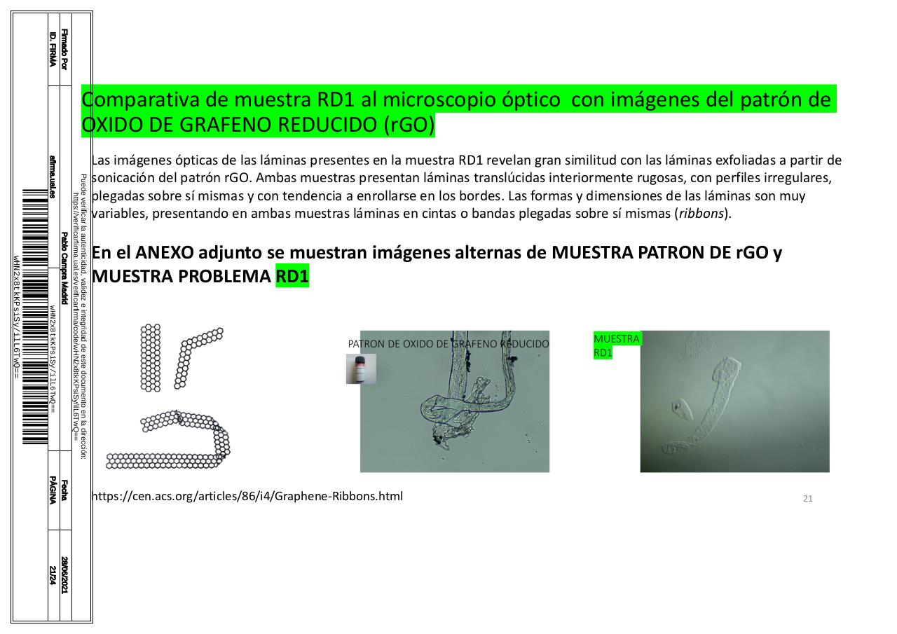 Vista previa del archivo PDF microscopiadevialcorminatydrcamprafirmae1horizontal1.pdf