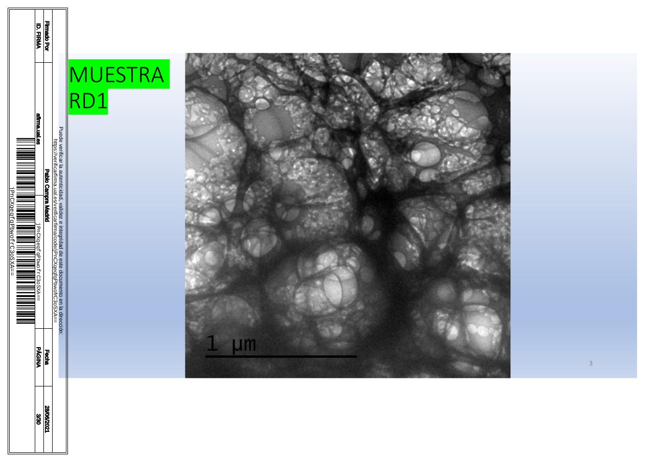 Vista previa del archivo PDF microscopiadevialcorminatydrcamprafirmae1horizontal1.pdf