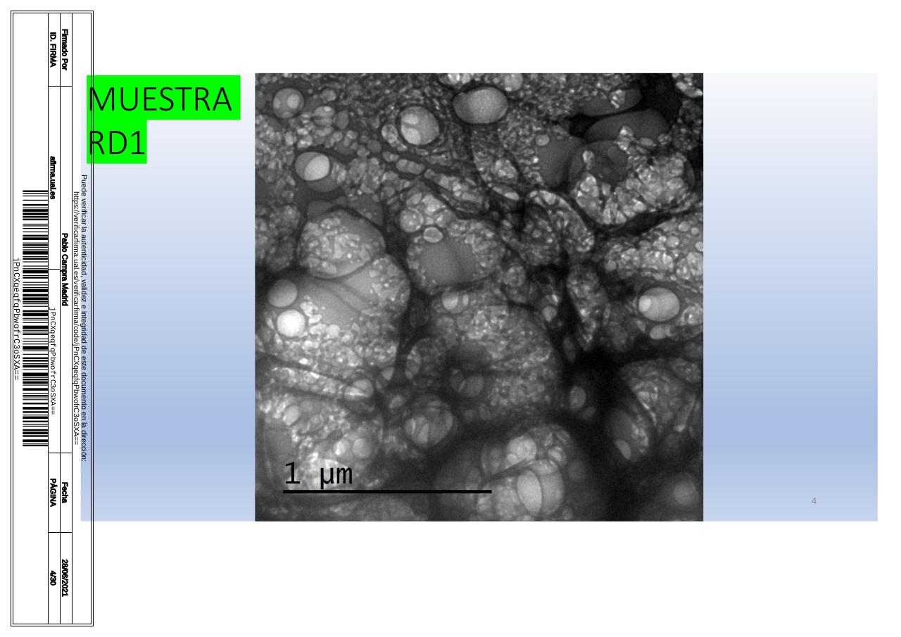 Vista previa del archivo PDF microscopiadevialcorminatydrcamprafirmae1horizontal1.pdf