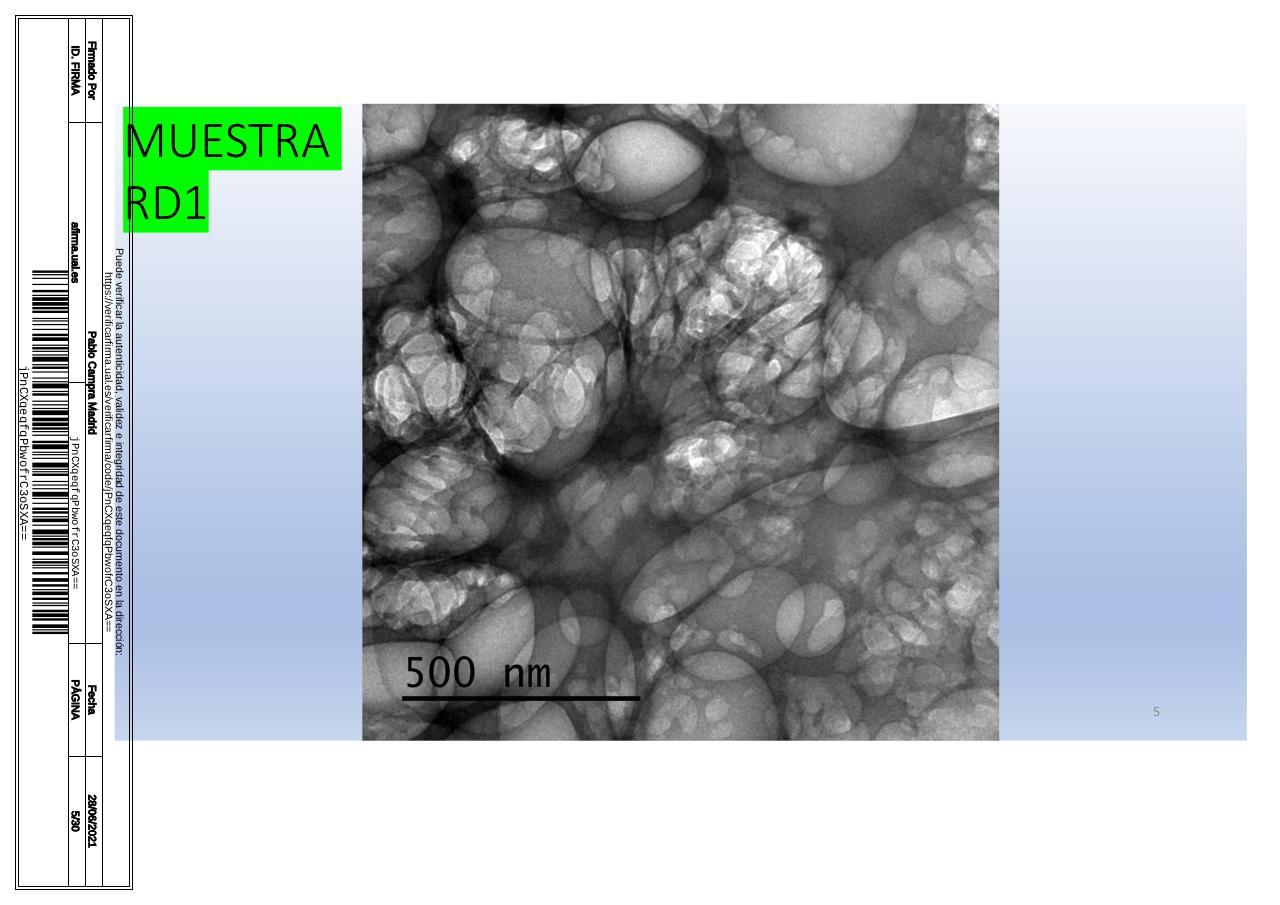 Vista previa del archivo PDF microscopiadevialcorminatydrcamprafirmae1horizontal1.pdf
