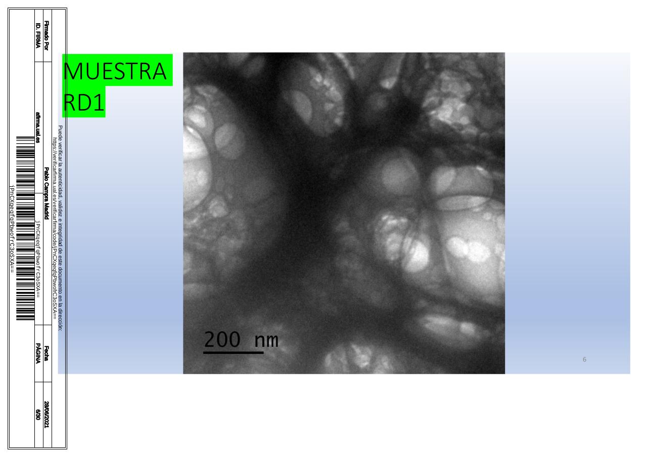 Vista previa del archivo PDF microscopiadevialcorminatydrcamprafirmae1horizontal1.pdf