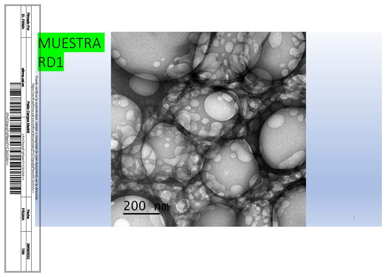 Vista previa del archivo PDF microscopiadevialcorminatydrcamprafirmae1horizontal1.pdf