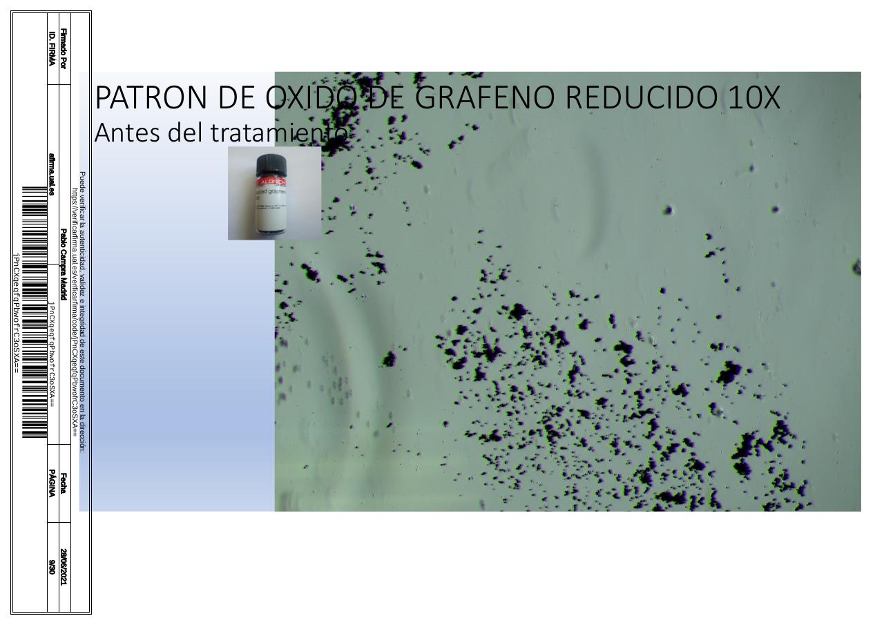 Vista previa del archivo PDF microscopiadevialcorminatydrcamprafirmae1horizontal1.pdf