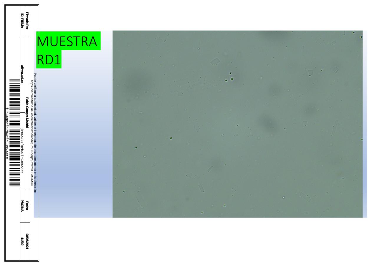 Vista previa del archivo PDF microscopiadevialcorminatydrcamprafirmae1horizontal1.pdf