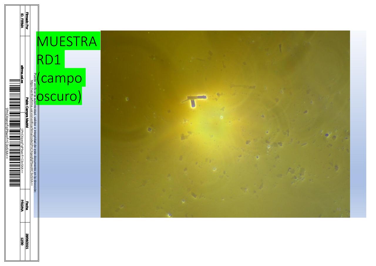 Vista previa del archivo PDF microscopiadevialcorminatydrcamprafirmae1horizontal1.pdf