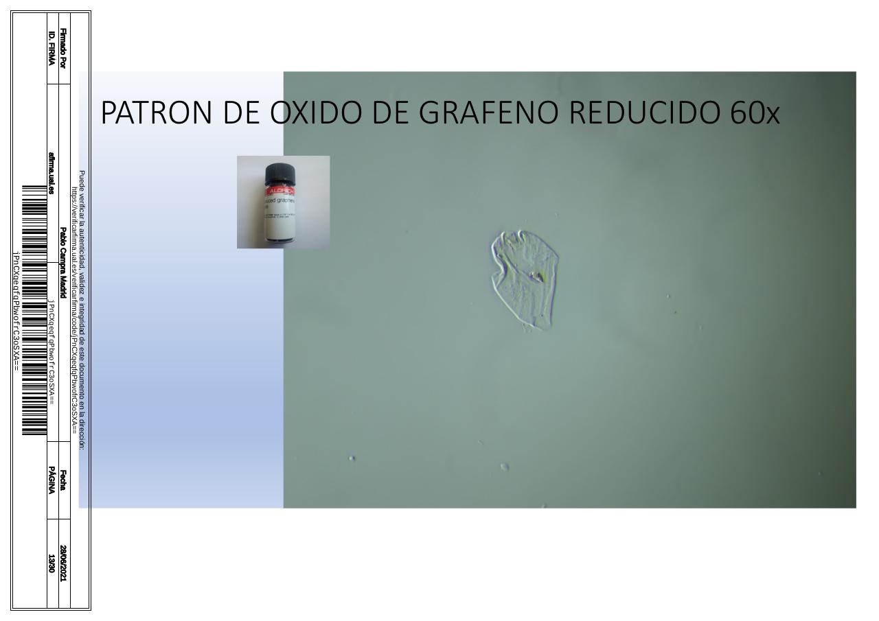 Vista previa del archivo PDF microscopiadevialcorminatydrcamprafirmae1horizontal1.pdf