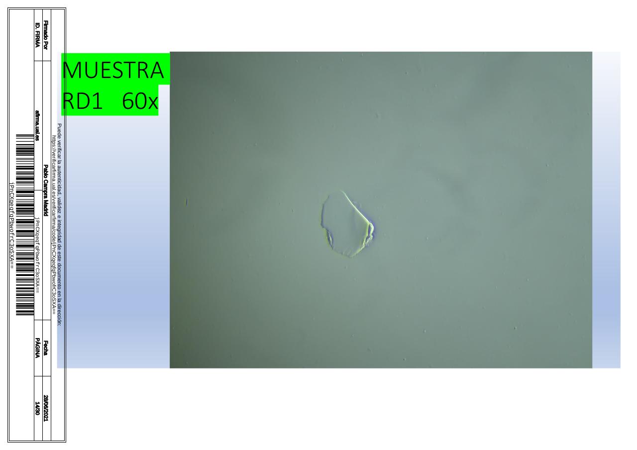 Vista previa del archivo PDF microscopiadevialcorminatydrcamprafirmae1horizontal1.pdf