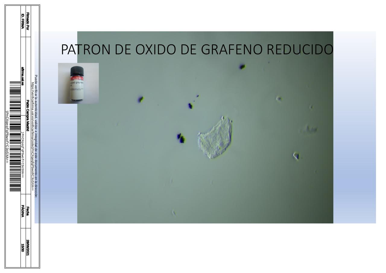 Vista previa del archivo PDF microscopiadevialcorminatydrcamprafirmae1horizontal1.pdf