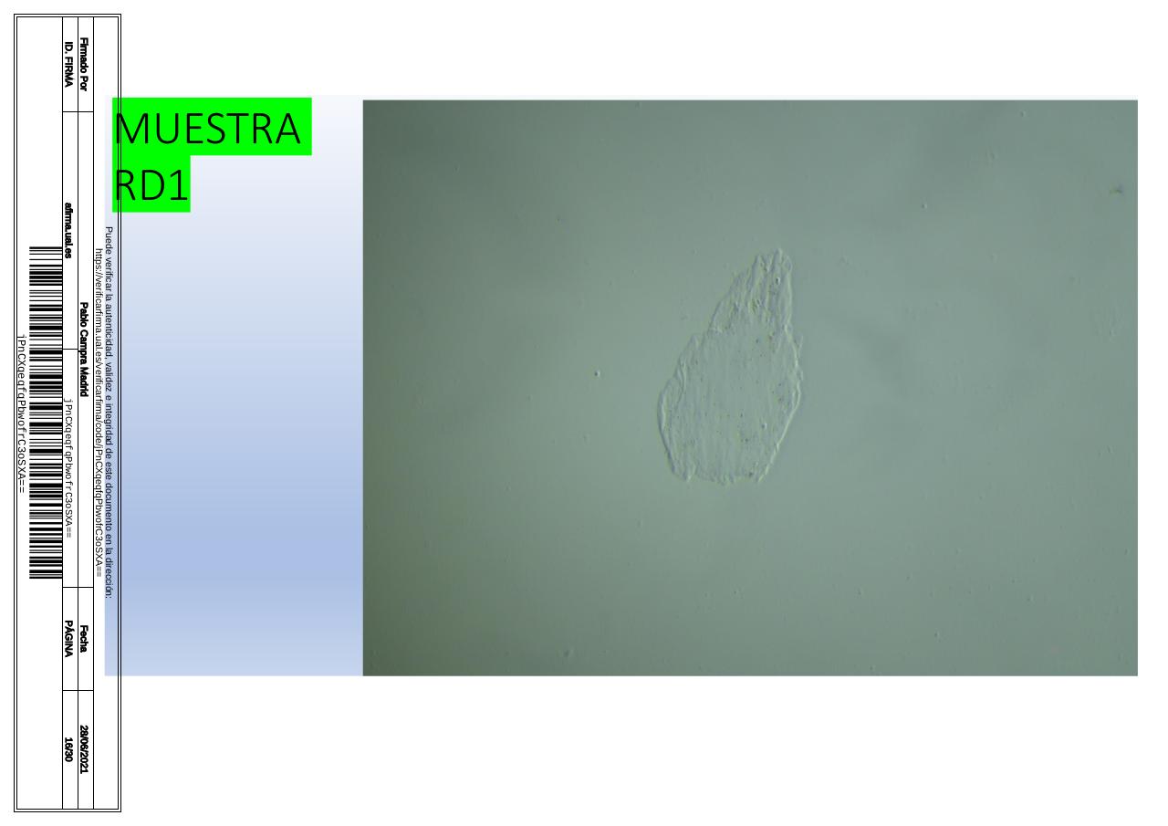 Vista previa del archivo PDF microscopiadevialcorminatydrcamprafirmae1horizontal1.pdf