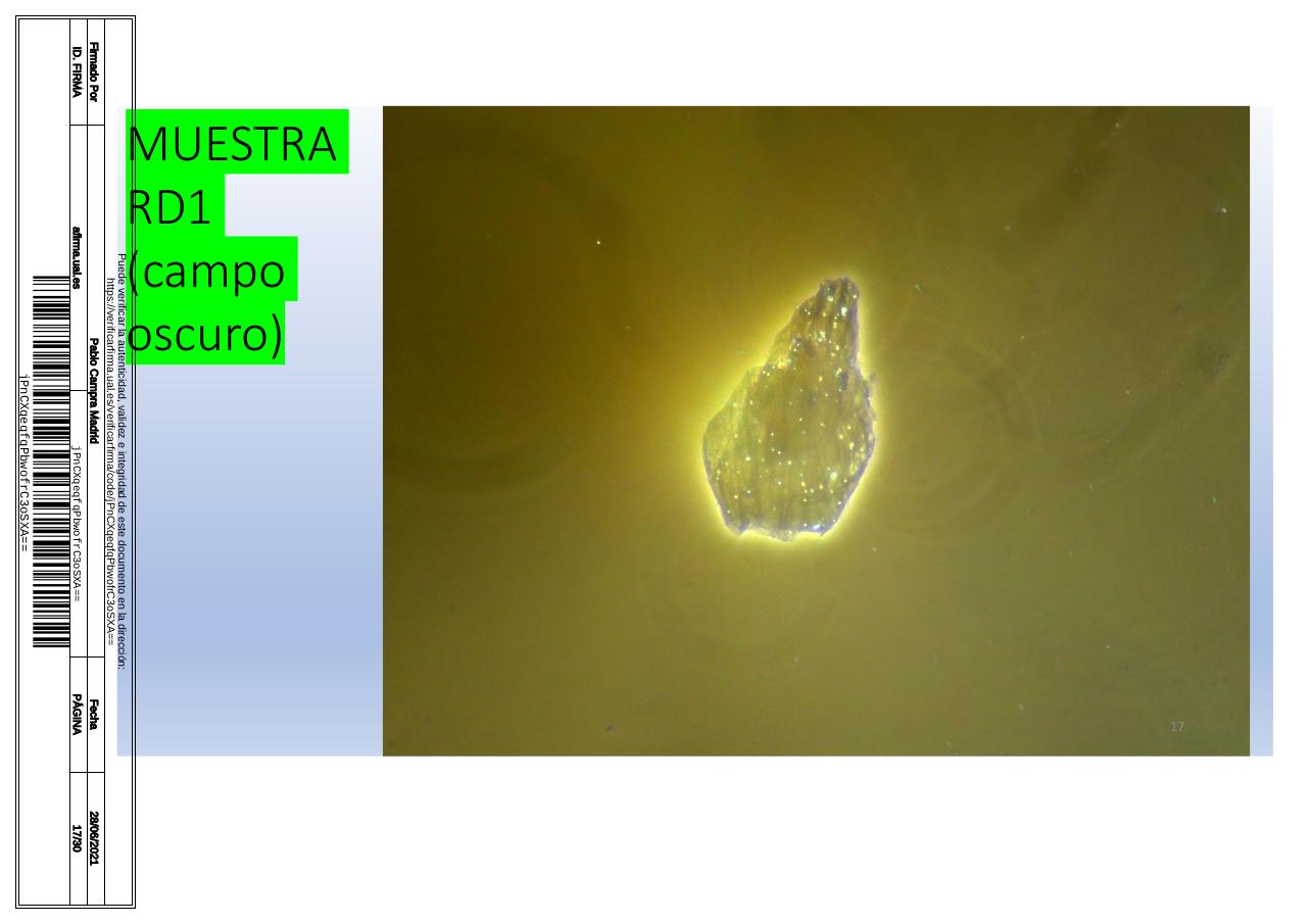 Vista previa del archivo PDF microscopiadevialcorminatydrcamprafirmae1horizontal1.pdf