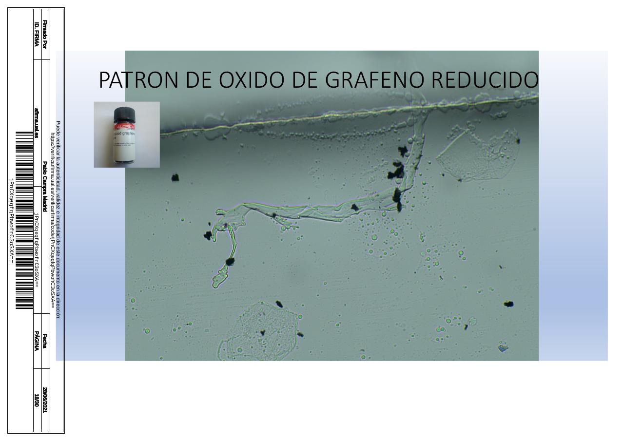 Vista previa del archivo PDF microscopiadevialcorminatydrcamprafirmae1horizontal1.pdf