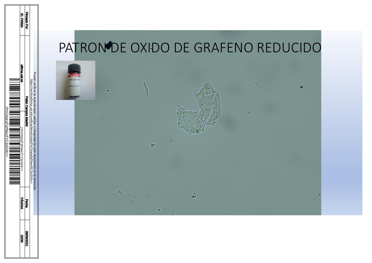 Vista previa del archivo PDF microscopiadevialcorminatydrcamprafirmae1horizontal1.pdf