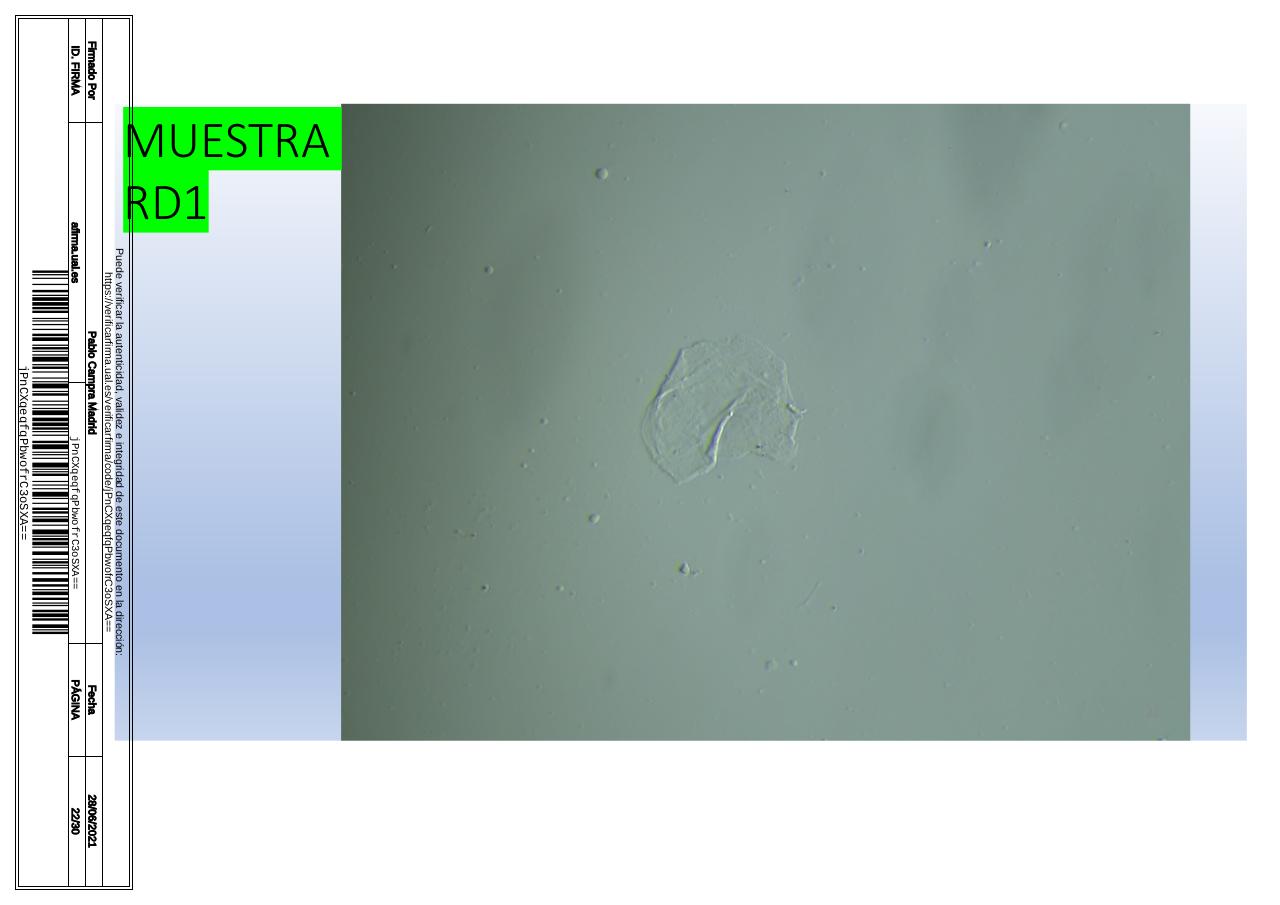 Vista previa del archivo PDF microscopiadevialcorminatydrcamprafirmae1horizontal1.pdf