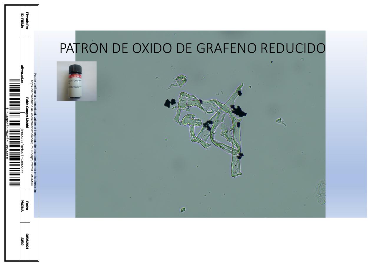 Vista previa del archivo PDF microscopiadevialcorminatydrcamprafirmae1horizontal1.pdf