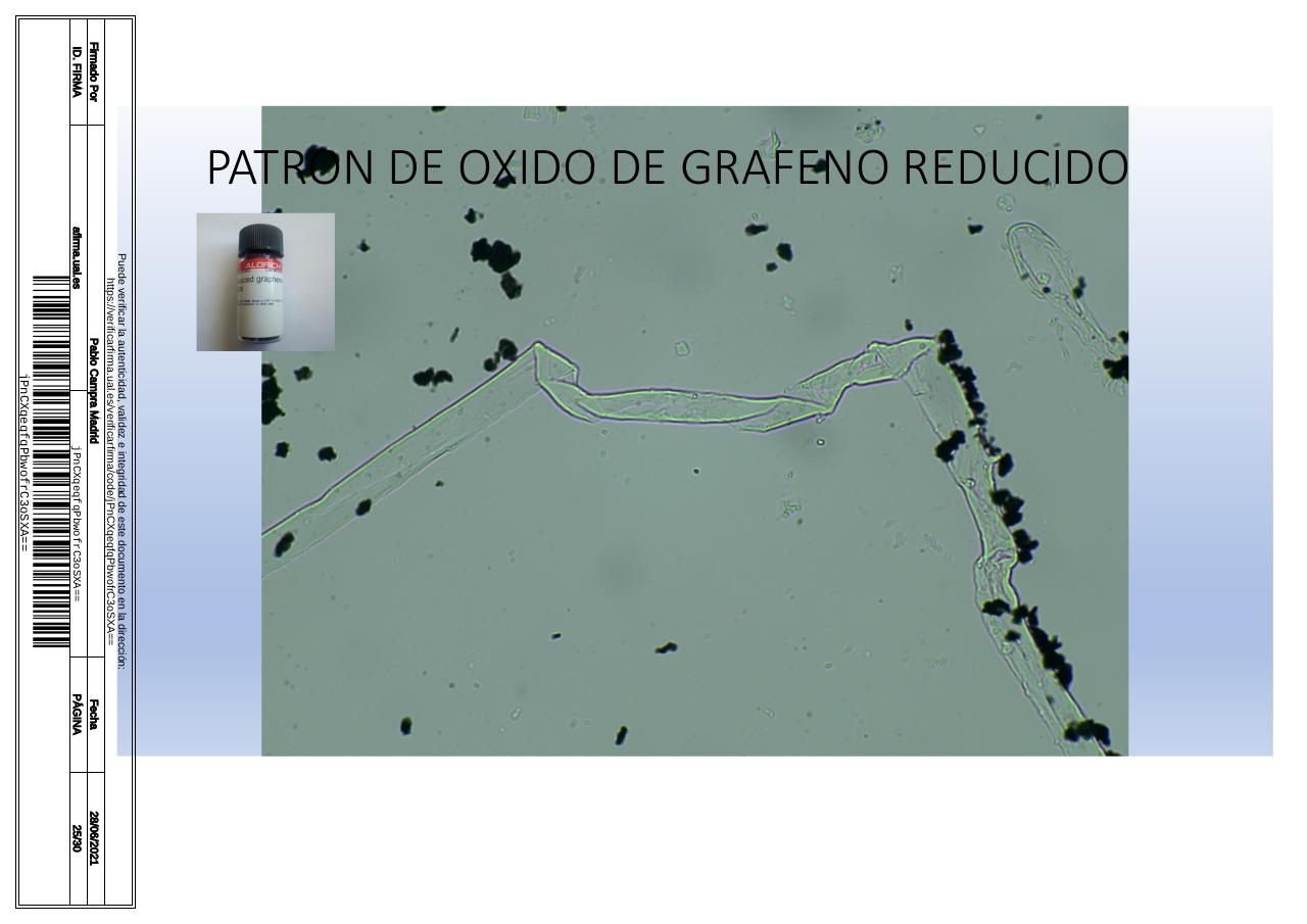 Vista previa del archivo PDF microscopiadevialcorminatydrcamprafirmae1horizontal1.pdf