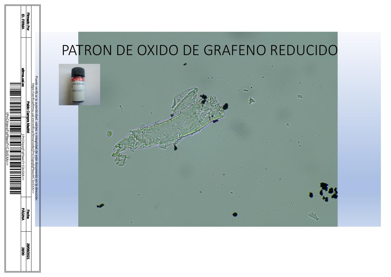 Vista previa del archivo PDF microscopiadevialcorminatydrcamprafirmae1horizontal1.pdf