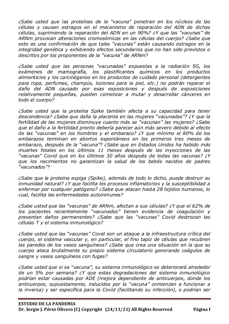 Vista previa del archivo PDF informe-pandemia-241121.pdf