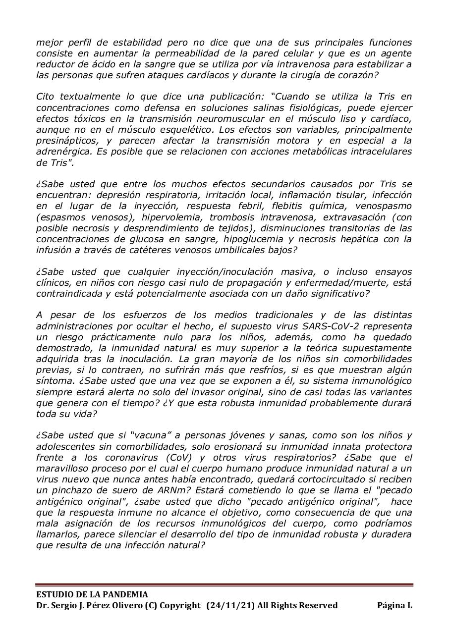 Vista previa del archivo PDF informe-pandemia-241121.pdf