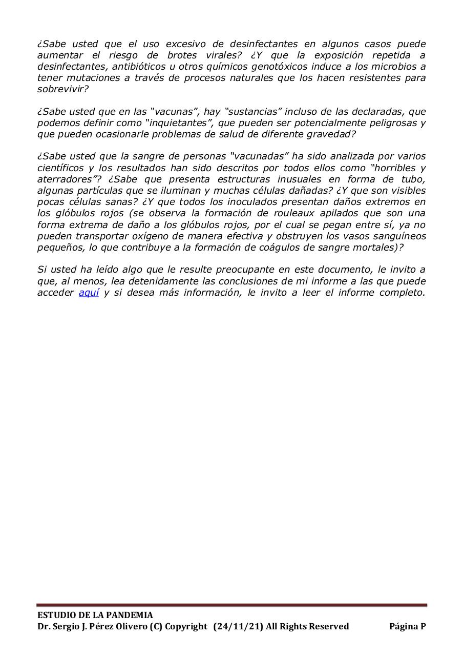 Vista previa del archivo PDF informe-pandemia-241121.pdf