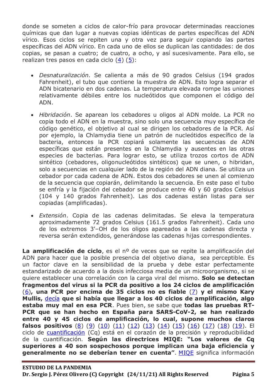 Vista previa del archivo PDF informe-pandemia-241121.pdf