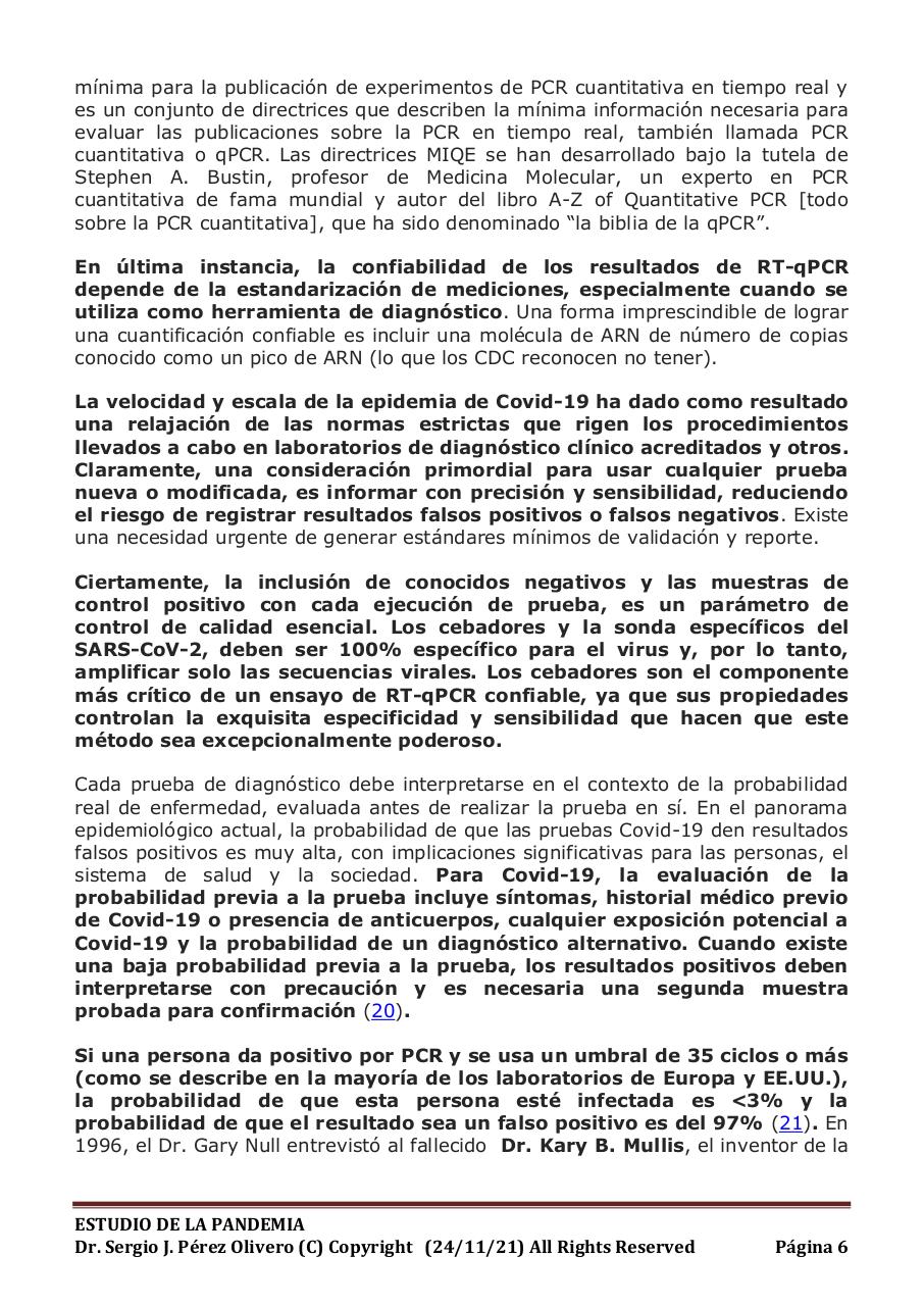 Vista previa del archivo PDF informe-pandemia-241121.pdf