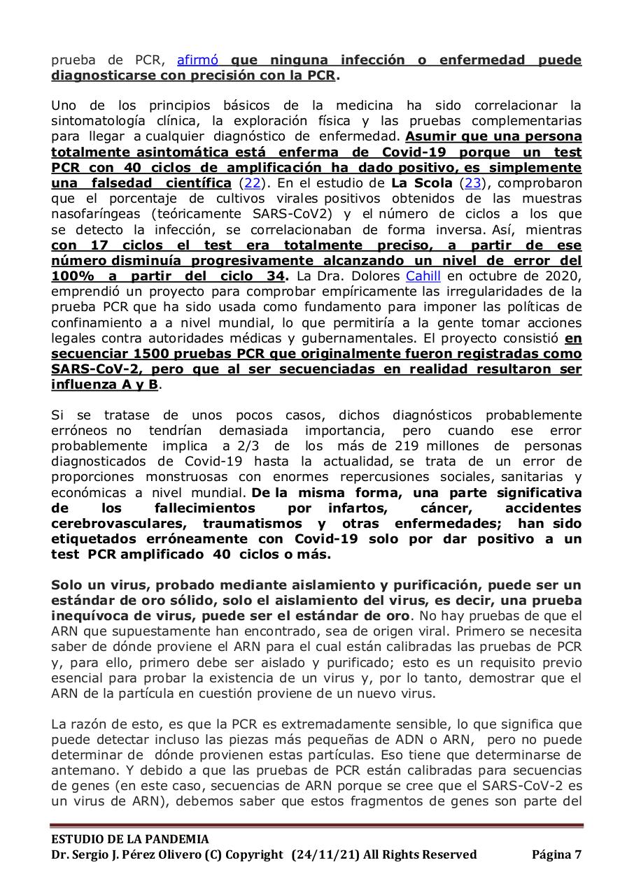 Vista previa del archivo PDF informe-pandemia-241121.pdf