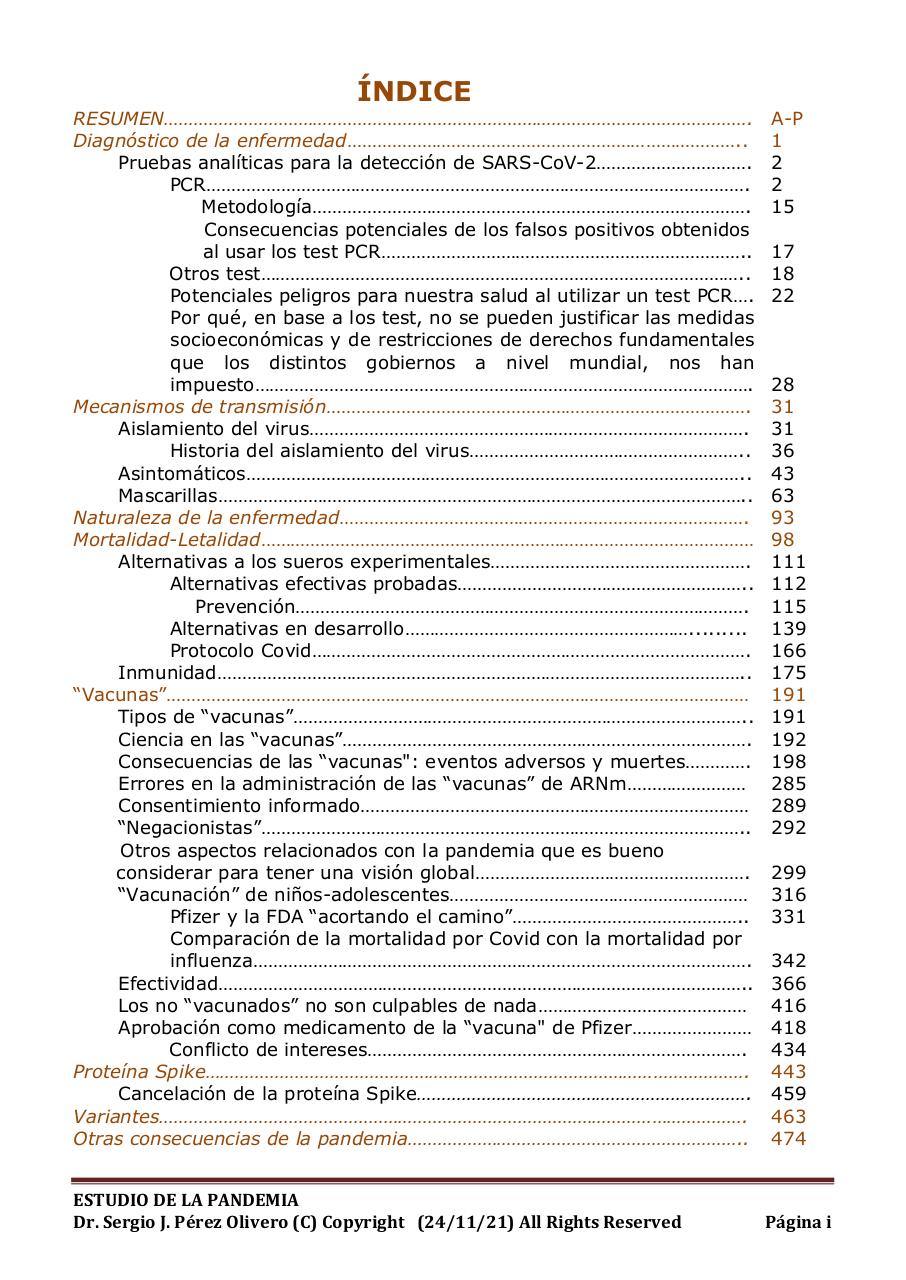 Vista previa del archivo PDF informe-pandemia-241121.pdf