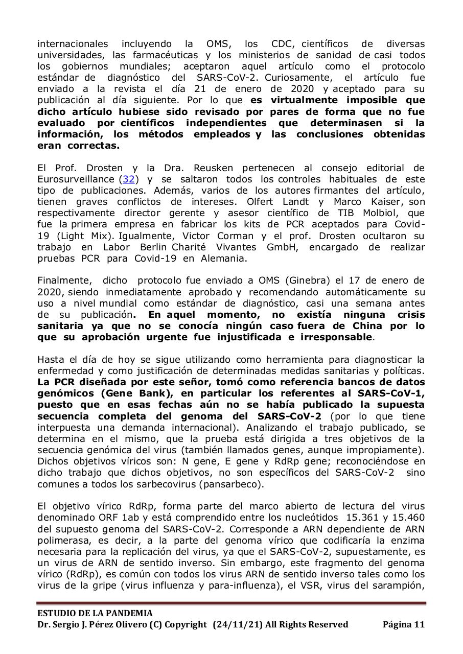 Vista previa del archivo PDF informe-pandemia-241121.pdf