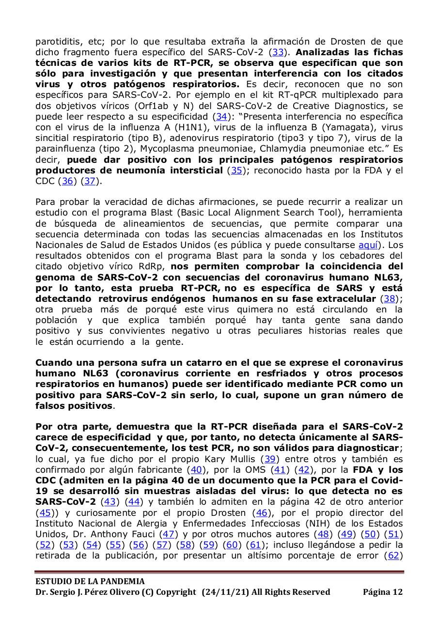 Vista previa del archivo PDF informe-pandemia-241121.pdf