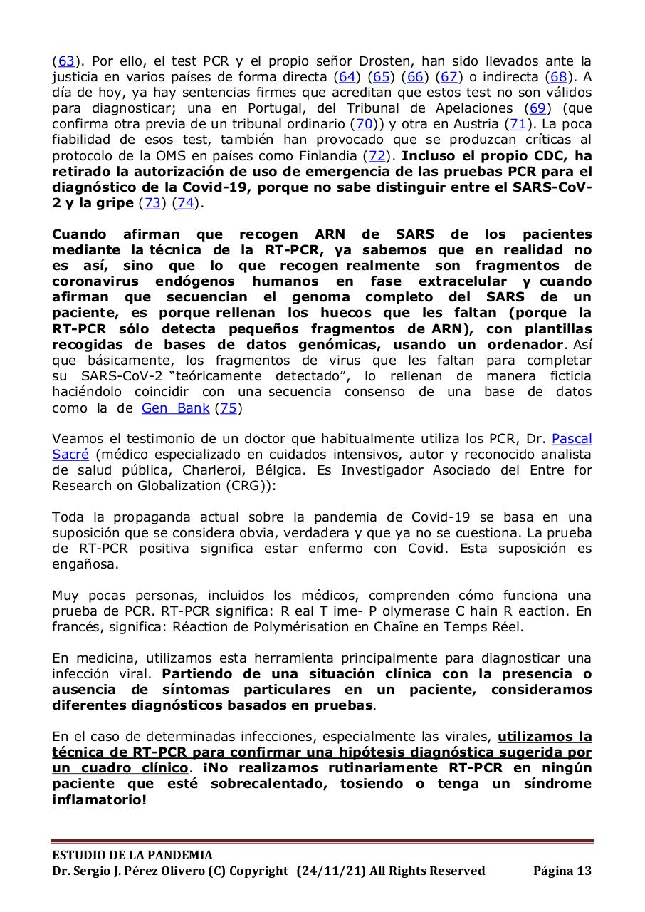 Vista previa del archivo PDF informe-pandemia-241121.pdf