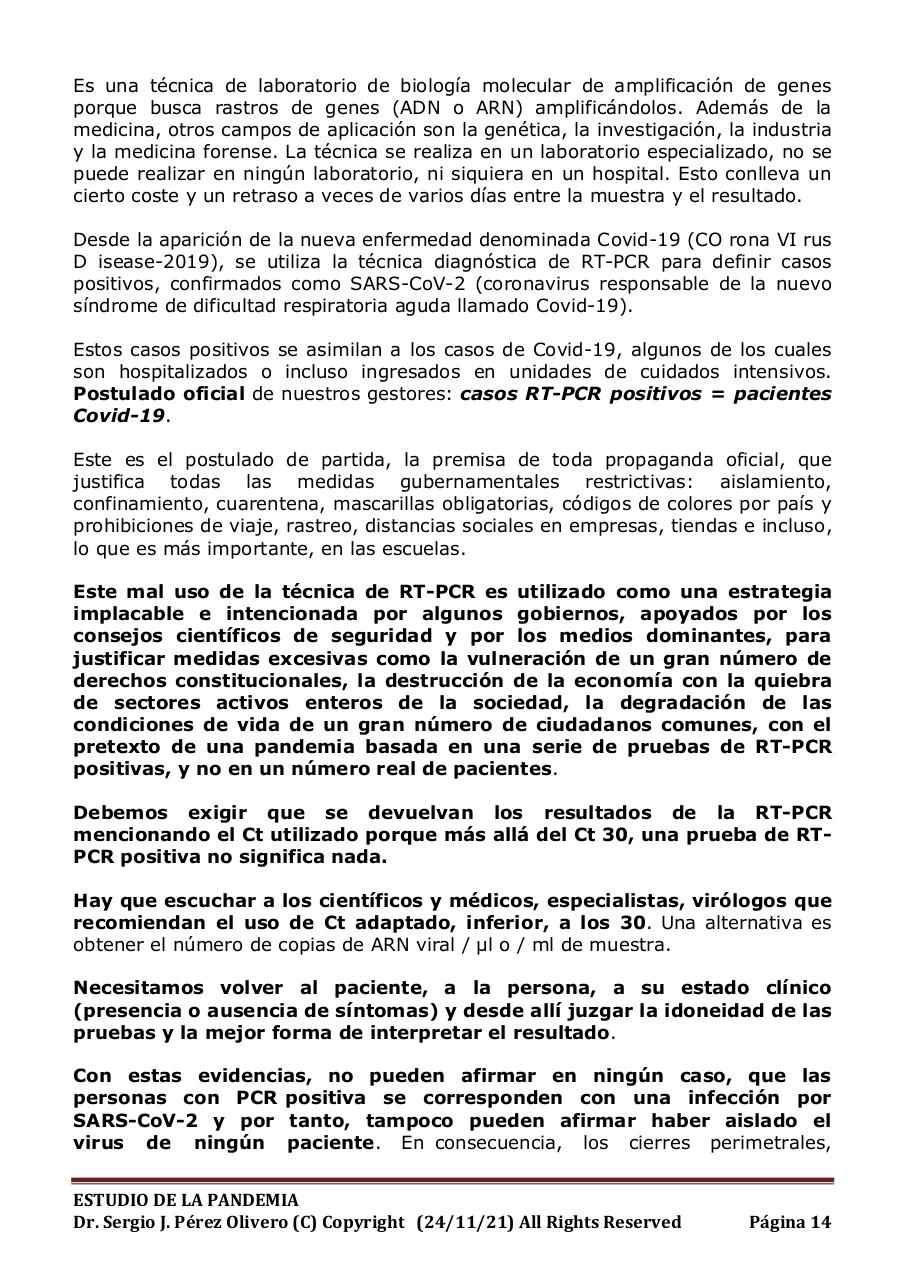 Vista previa del archivo PDF informe-pandemia-241121.pdf