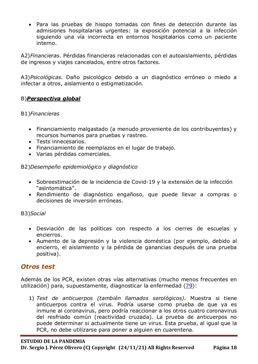 Vista previa del archivo PDF informe-pandemia-241121.pdf