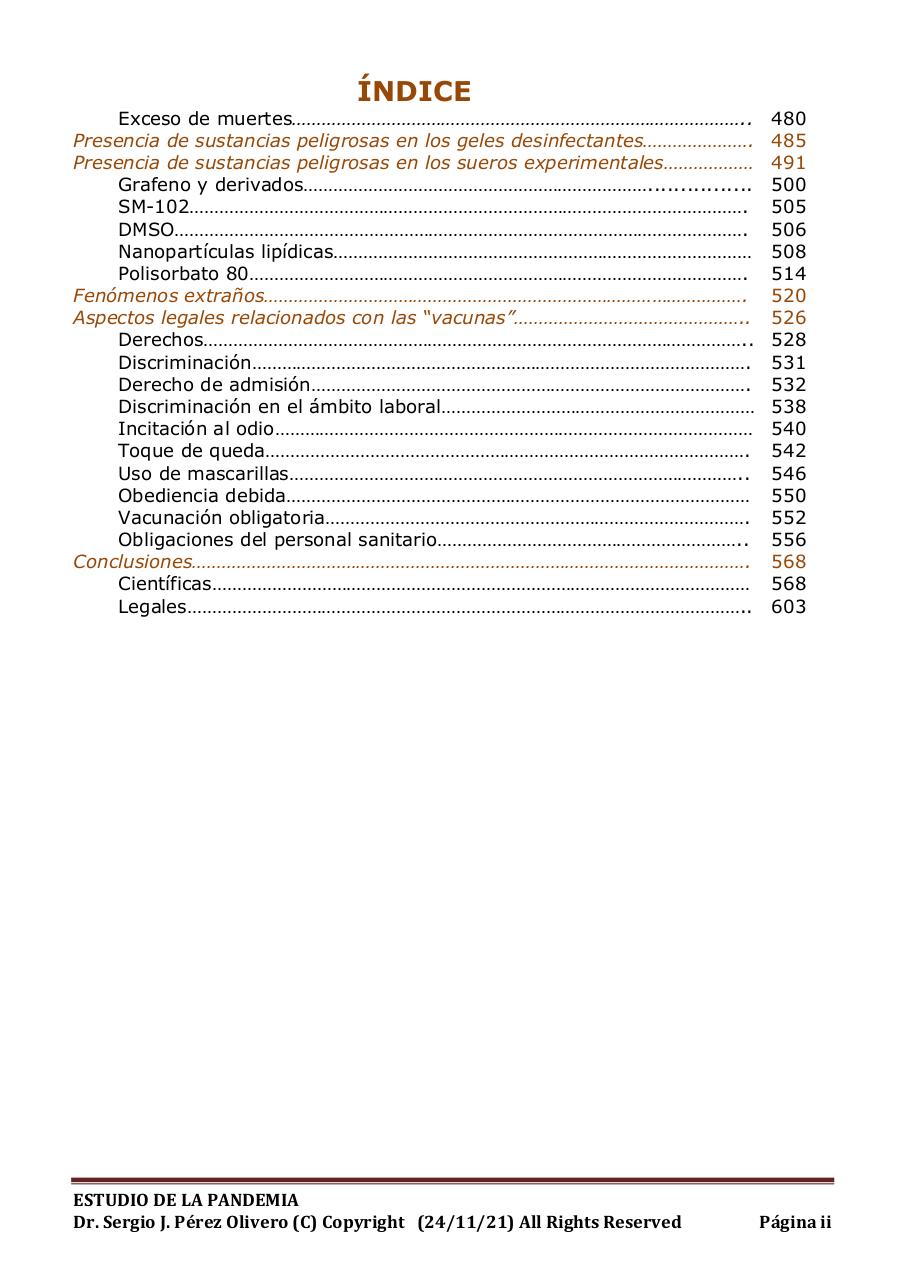 Vista previa del archivo PDF informe-pandemia-241121.pdf