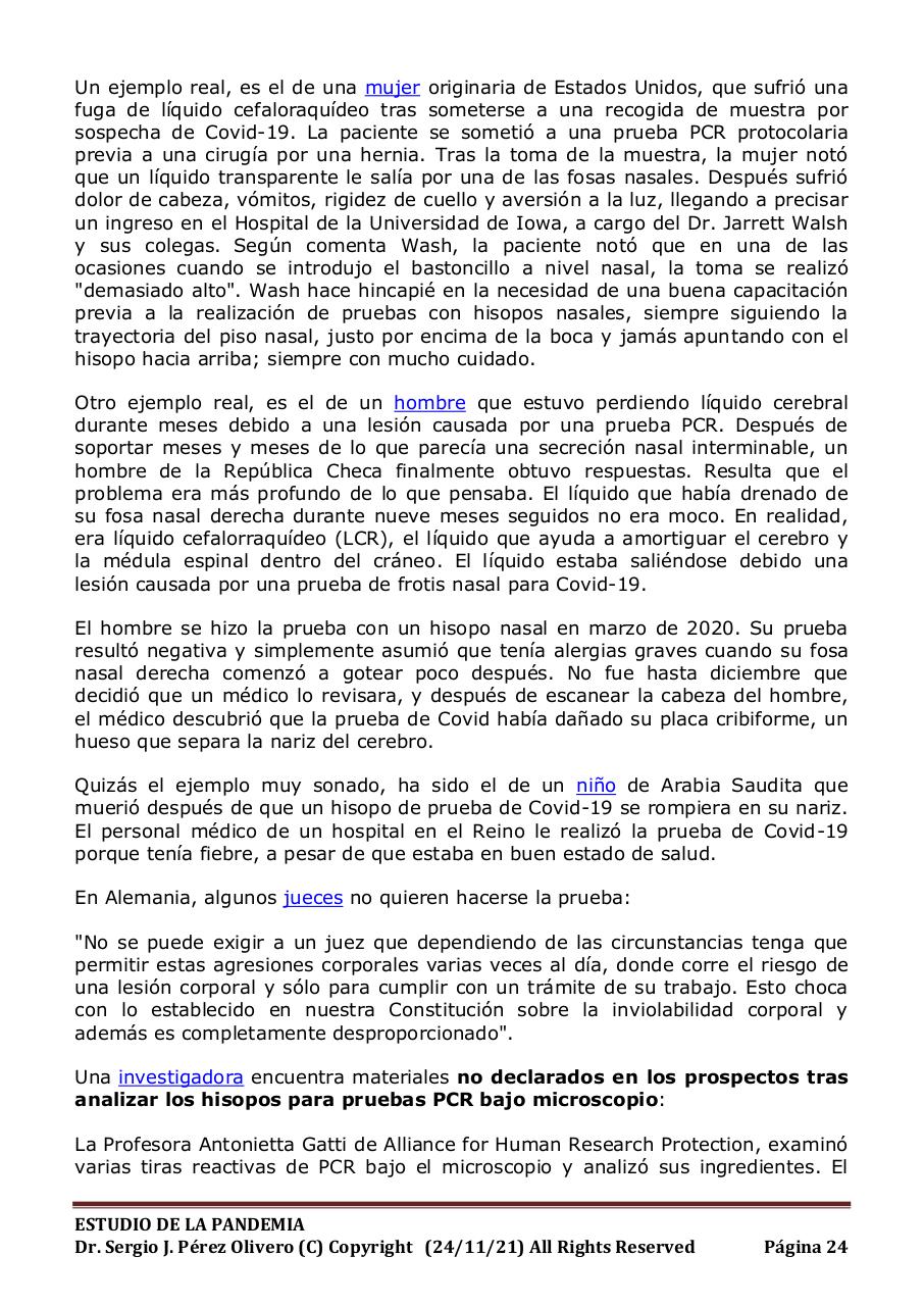 Vista previa del archivo PDF informe-pandemia-241121.pdf