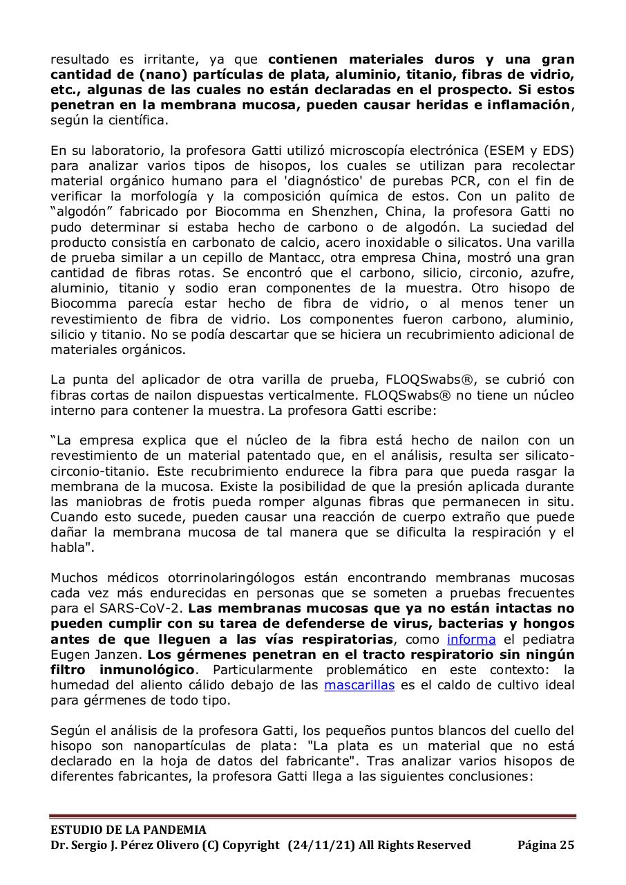 Vista previa del archivo PDF informe-pandemia-241121.pdf