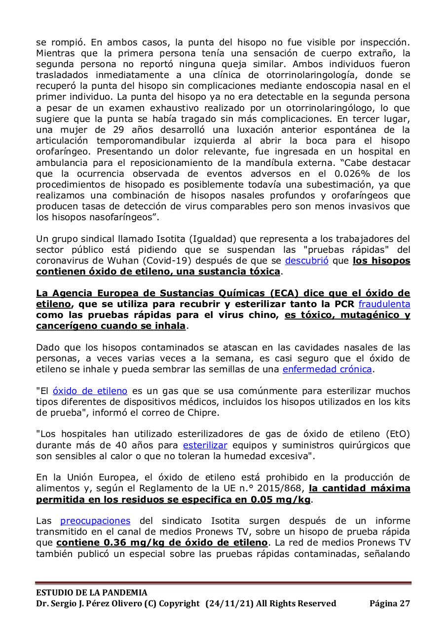 Vista previa del archivo PDF informe-pandemia-241121.pdf