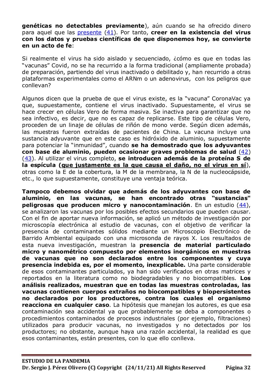 Vista previa del archivo PDF informe-pandemia-241121.pdf