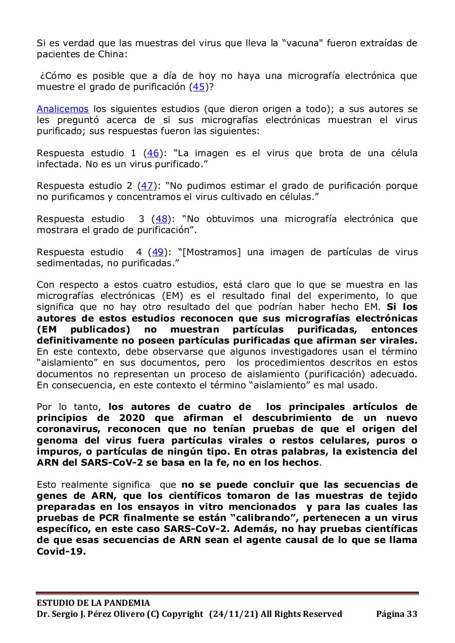 Vista previa del archivo PDF informe-pandemia-241121.pdf
