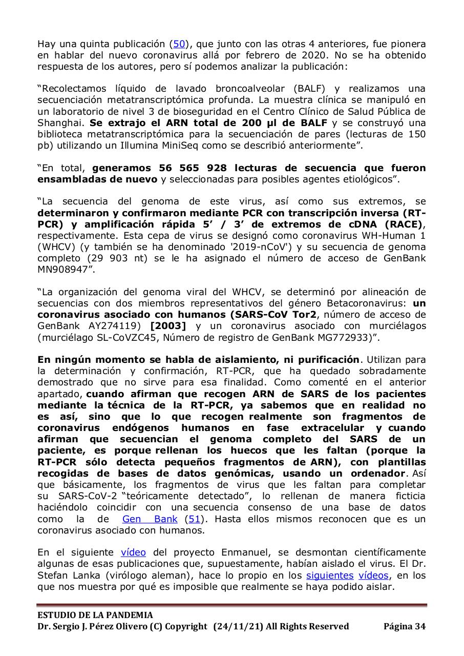 Vista previa del archivo PDF informe-pandemia-241121.pdf