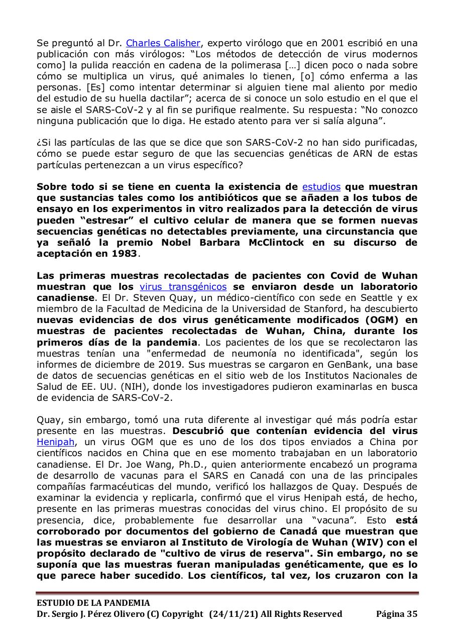 Vista previa del archivo PDF informe-pandemia-241121.pdf