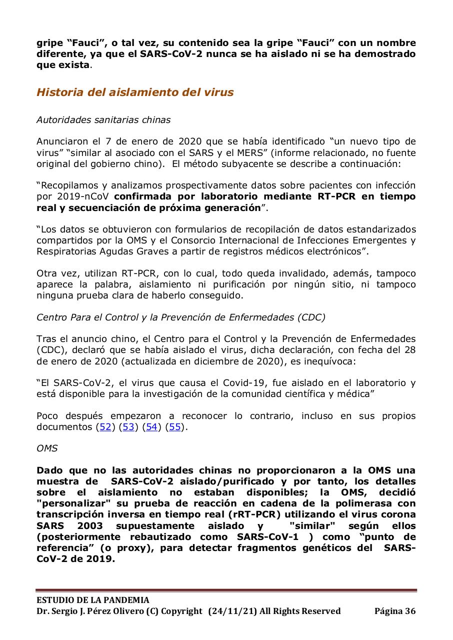 Vista previa del archivo PDF informe-pandemia-241121.pdf