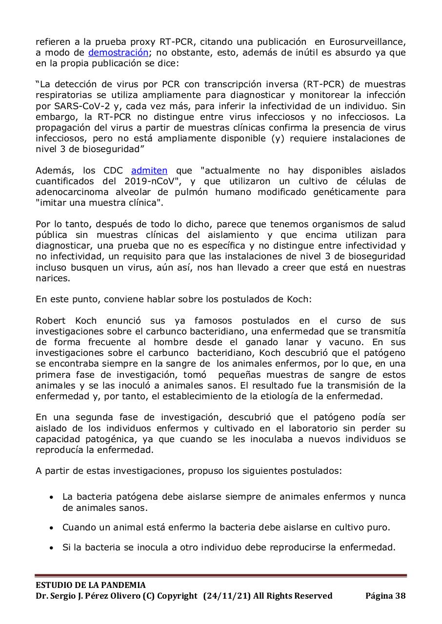 Vista previa del archivo PDF informe-pandemia-241121.pdf