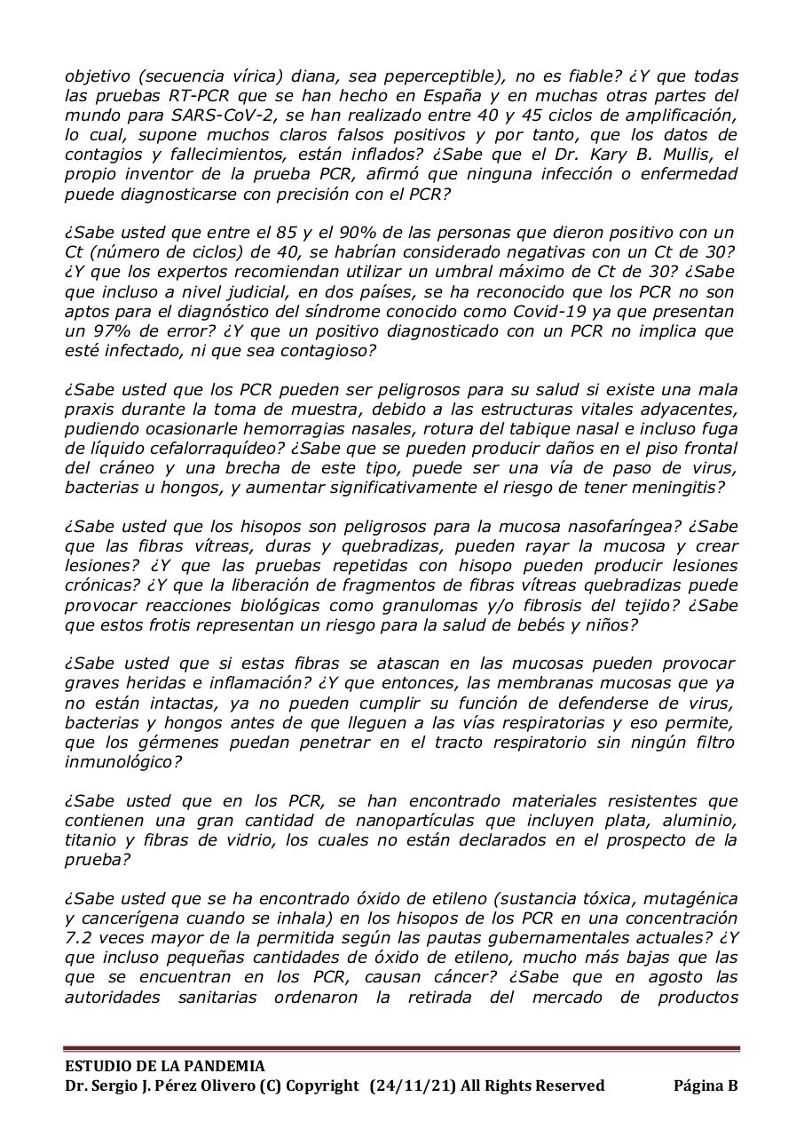 Vista previa del archivo PDF informe-pandemia-241121.pdf