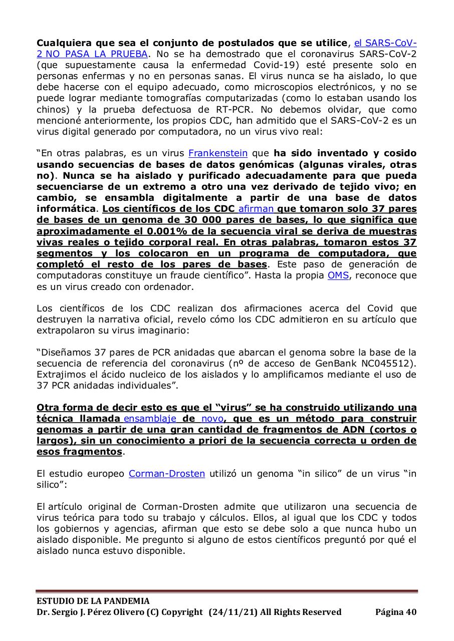 Vista previa del archivo PDF informe-pandemia-241121.pdf