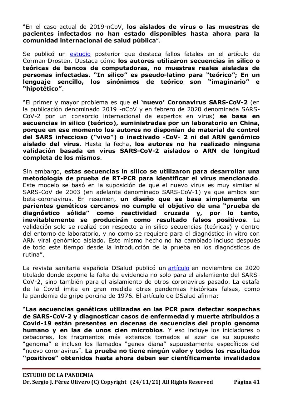 Vista previa del archivo PDF informe-pandemia-241121.pdf