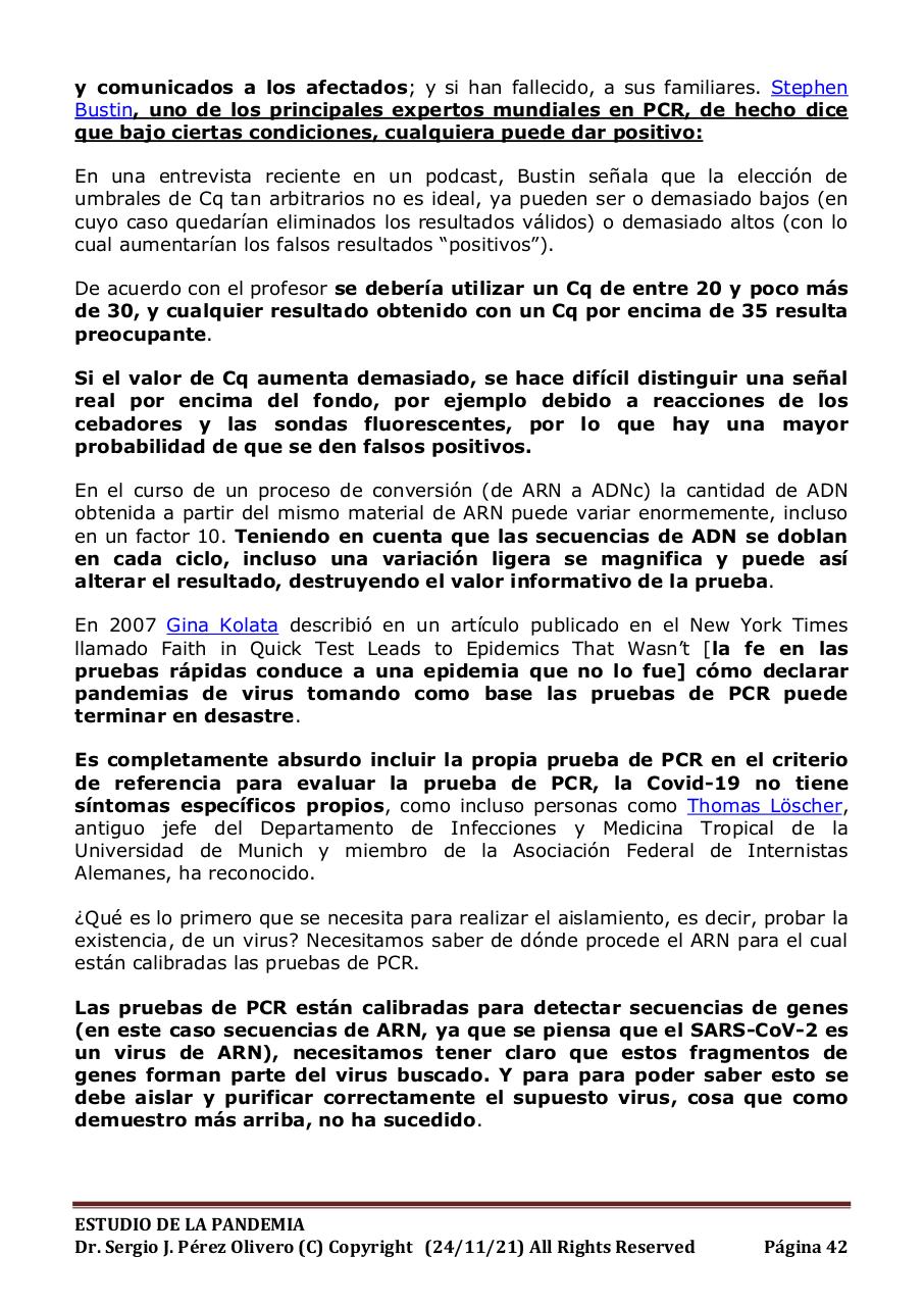 Vista previa del archivo PDF informe-pandemia-241121.pdf