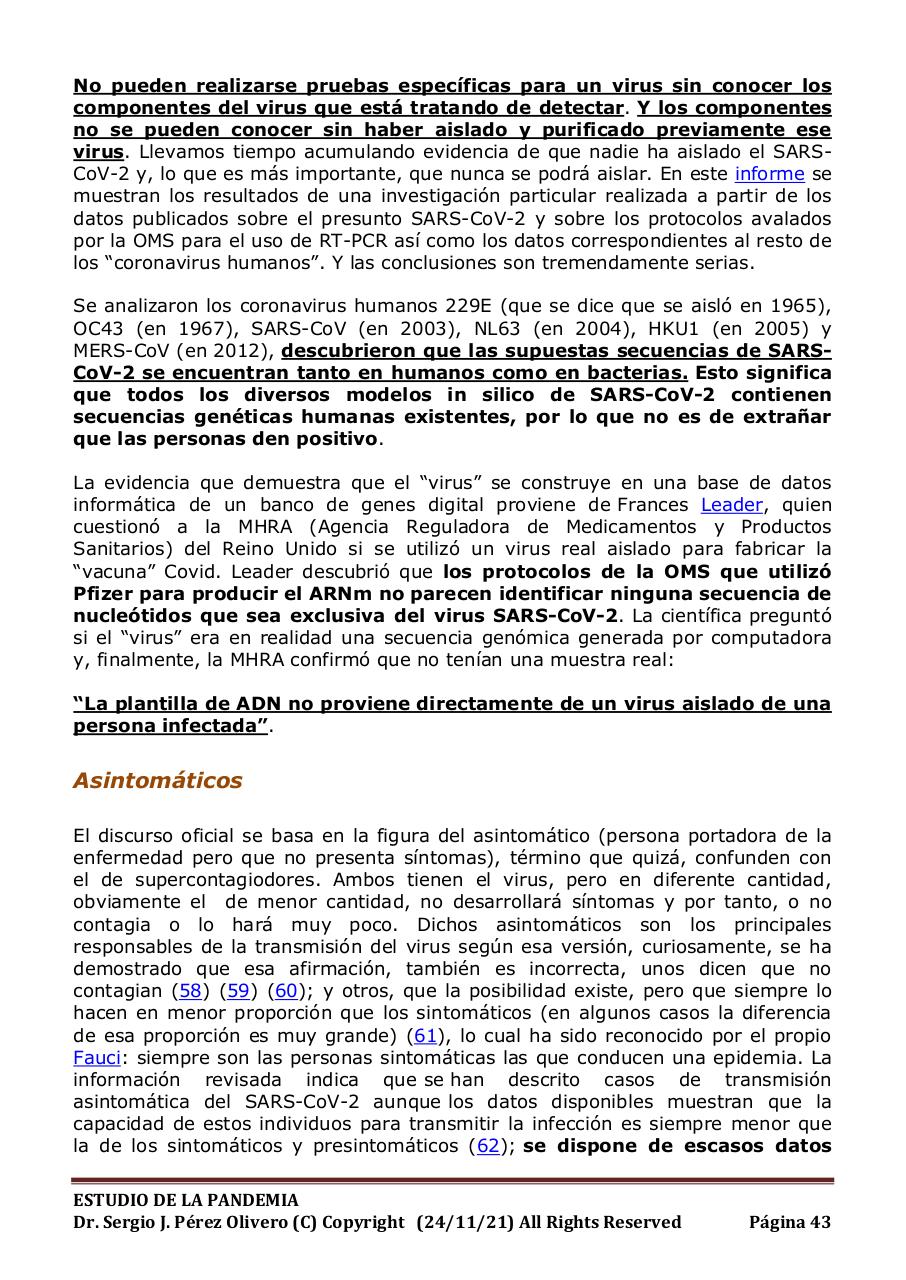 Vista previa del archivo PDF informe-pandemia-241121.pdf