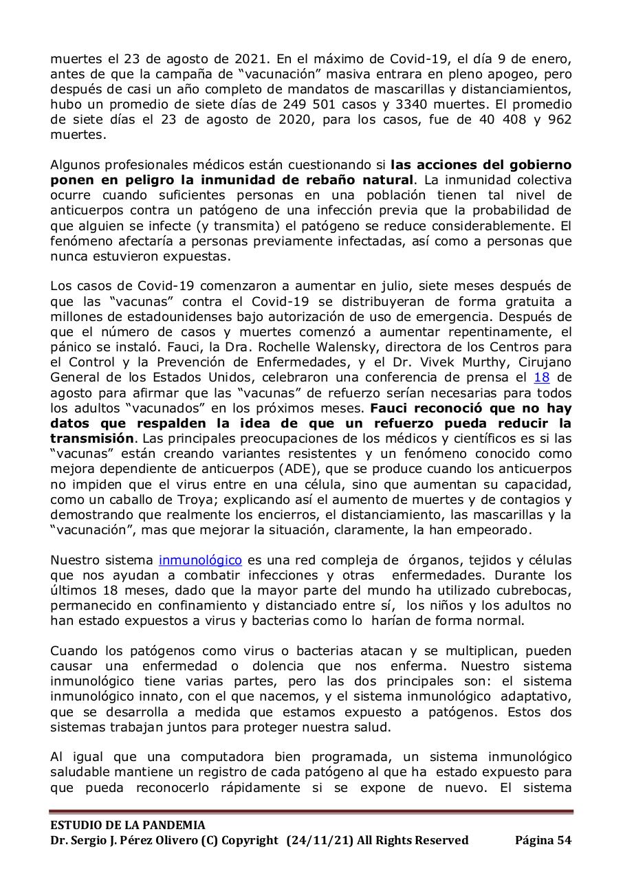 Vista previa del archivo PDF informe-pandemia-241121.pdf